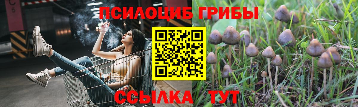 Галлюциногенные грибы мухоморы Коломна